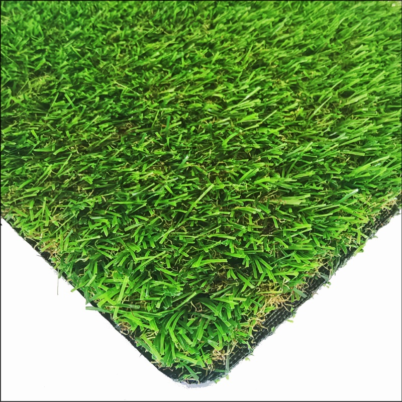 Cỏ vườn (GG20)