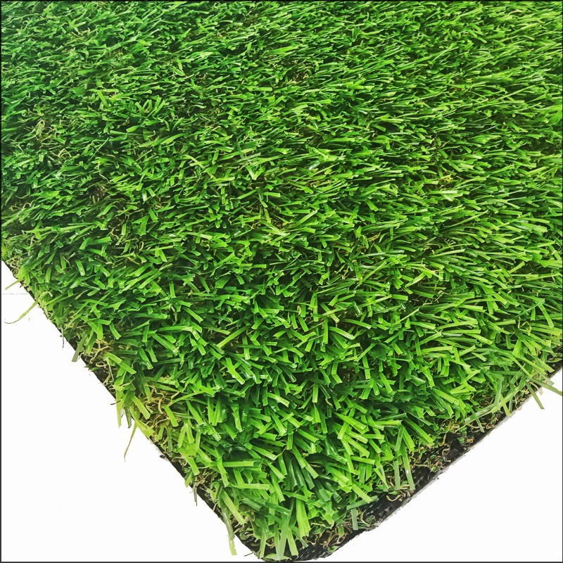 Cỏ vườn (GG25)